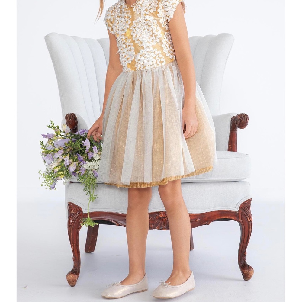 Chasing Fireflies Shimmery Soutache Circles Dress